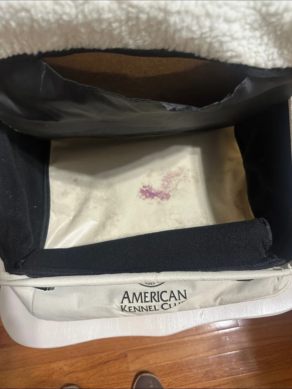 American Kennel Club pet car